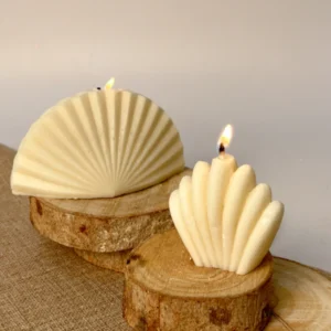 Sea Treasures