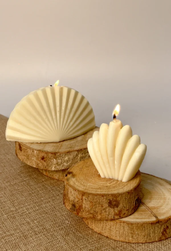 Sea Treasures