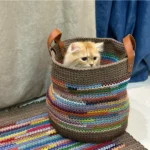 Rustic Rainbow Organizer